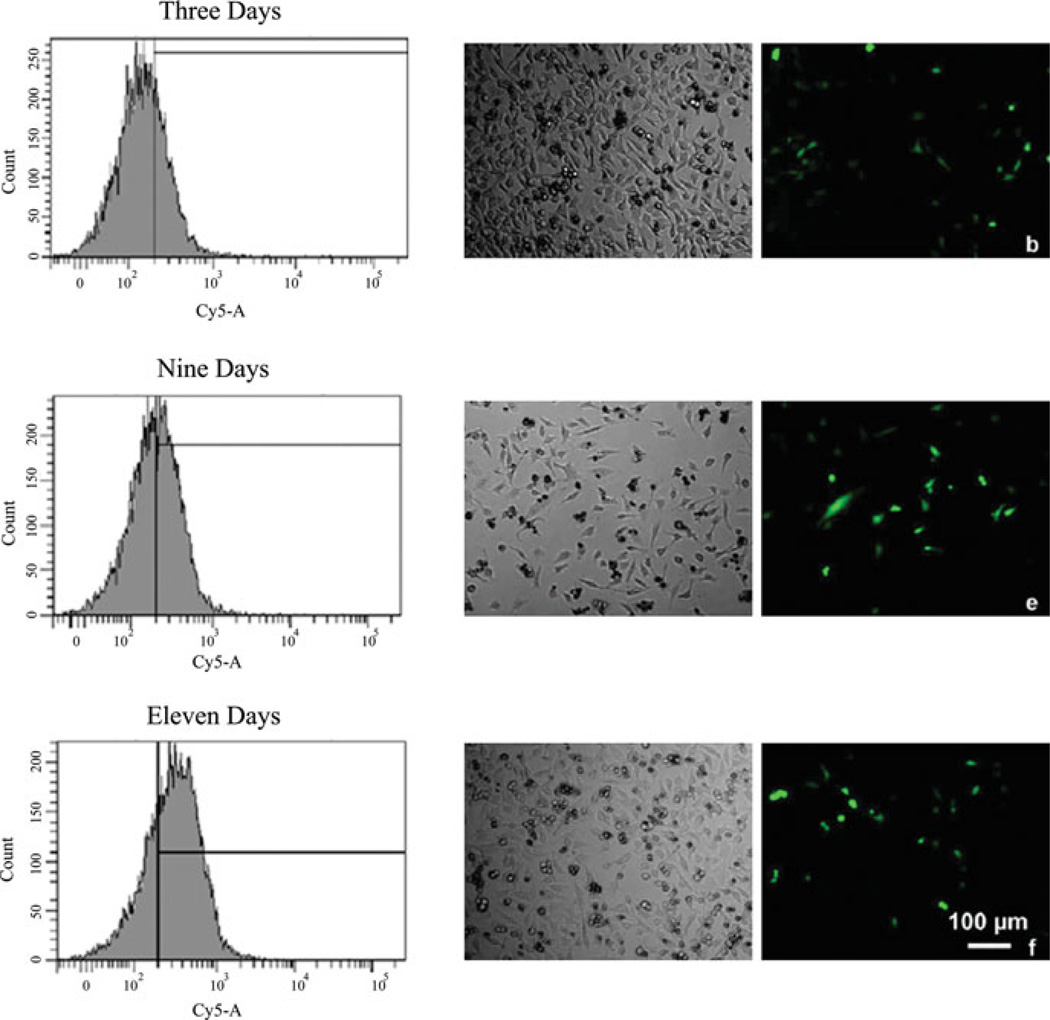 Fig. 15