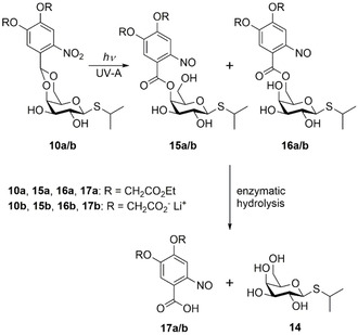 Scheme 2