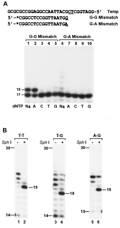 FIG. 10