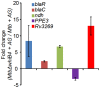 Figure 6—figure supplement 2.