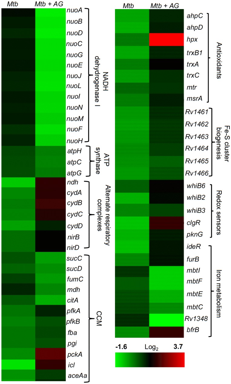 Figure 2.