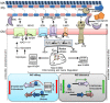 Figure 10.