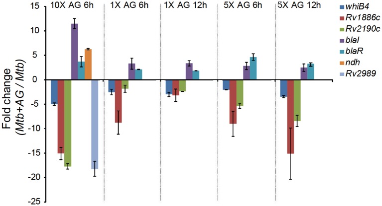 Figure 2—figure supplement 1.