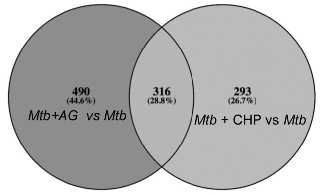 Figure 2—figure supplement 3.