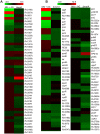 Figure 2—figure supplement 2.