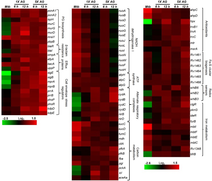 Figure 2—figure supplement 4.