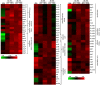 Figure 2—figure supplement 4.