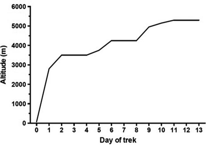 FIGURE 1