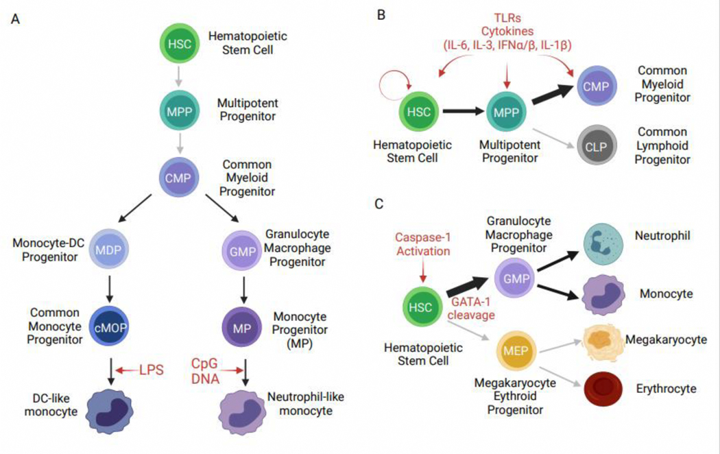 Figure 1: