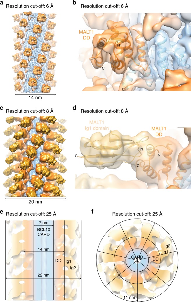 Fig. 6