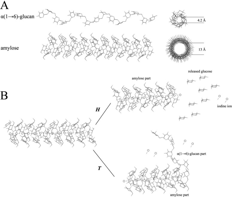 FIG 4