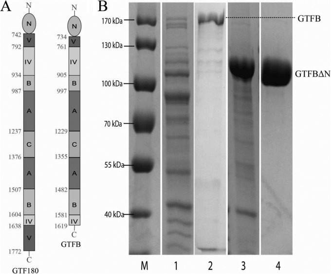 FIG 1