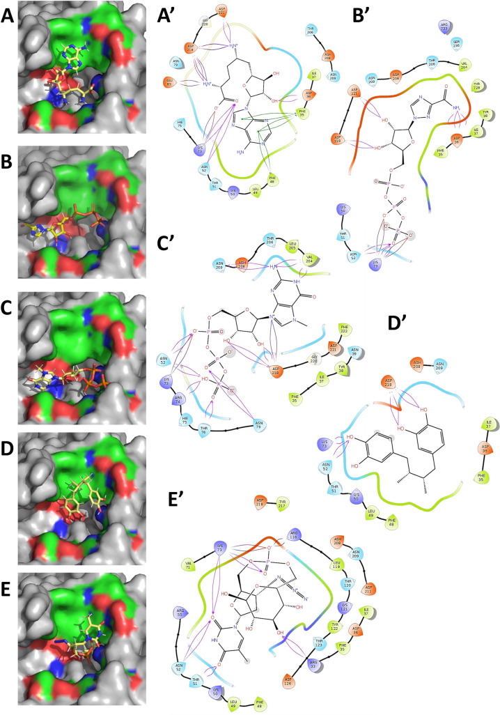 Fig 4