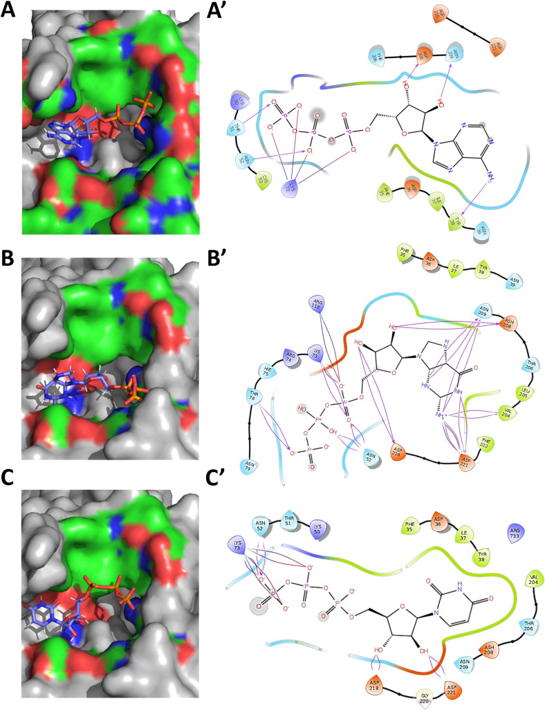 Fig 2