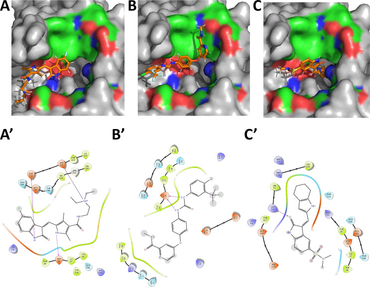 Fig 3