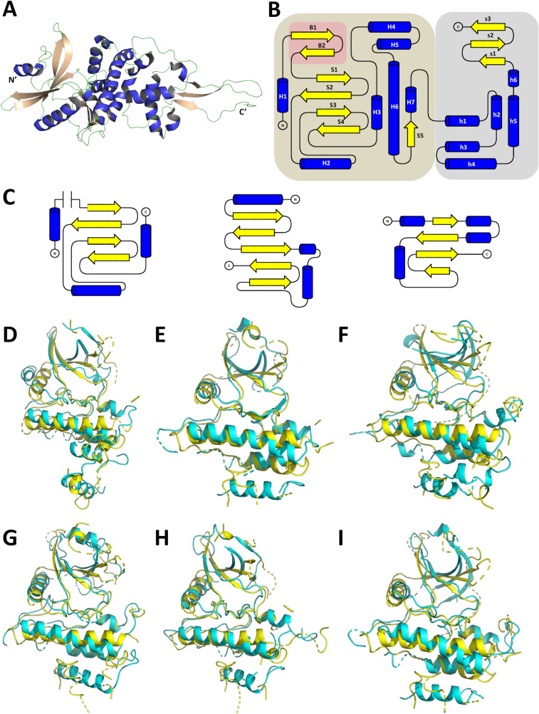 Fig 1