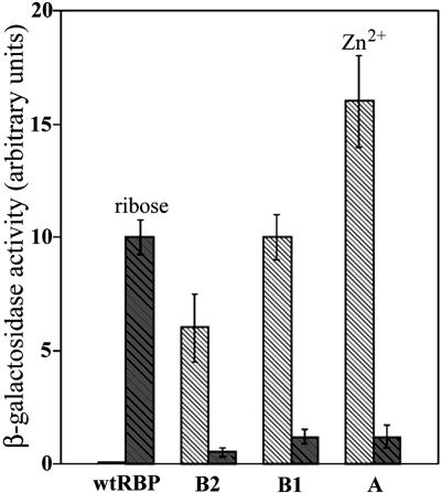 Fig. 5.