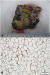 Fig. 5