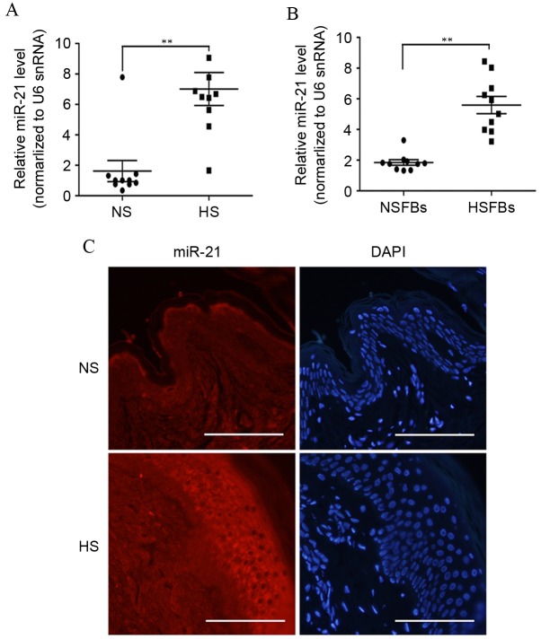 Figure 2.