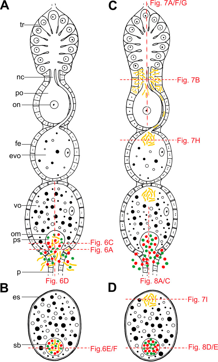 FIG 5