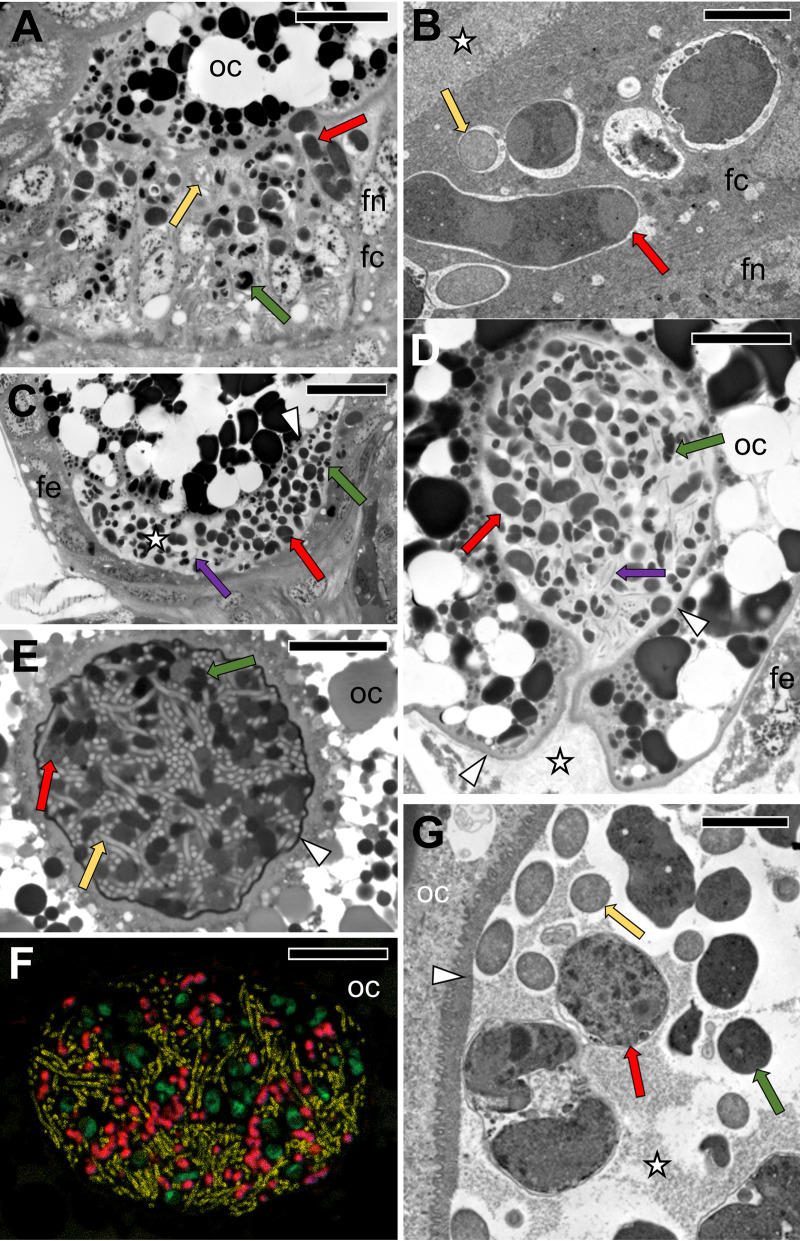 FIG 6