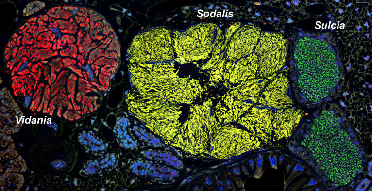 FIG 3