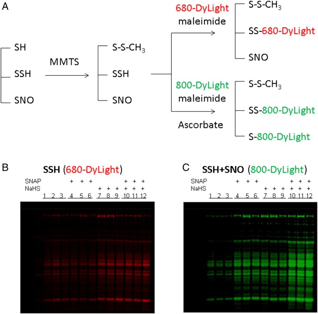 Figure 3