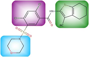 Fig. 1