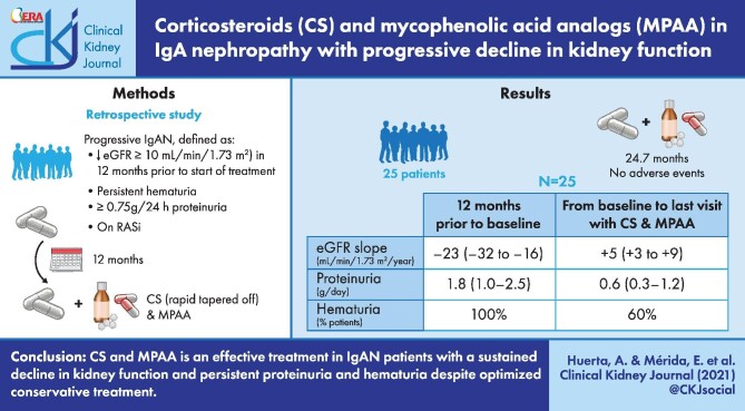 Graphical Abstract