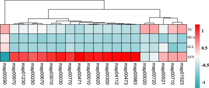 Supplementary figure 3