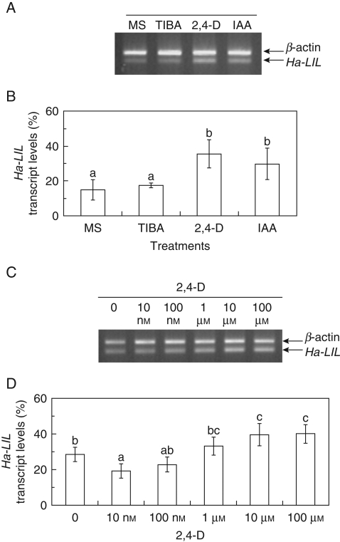 Fig. 9.