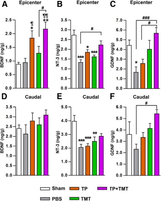 Figure 11.