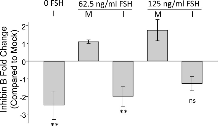 Fig 5