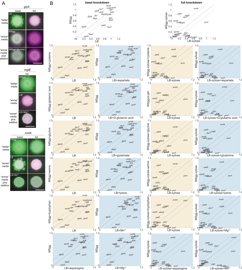 Figure 3—figure supplement 1.