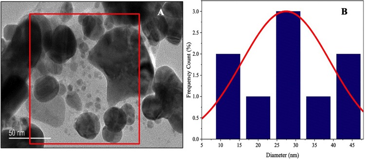 FIGURE 7