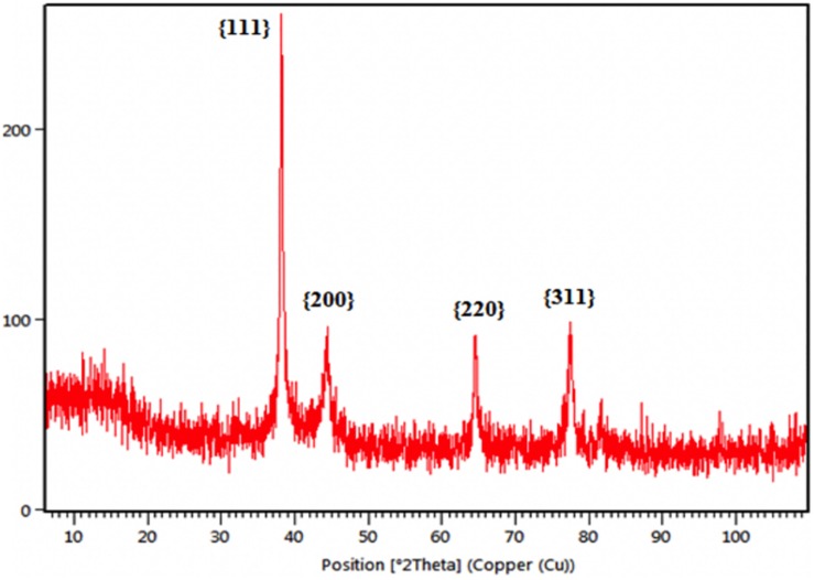 FIGURE 4