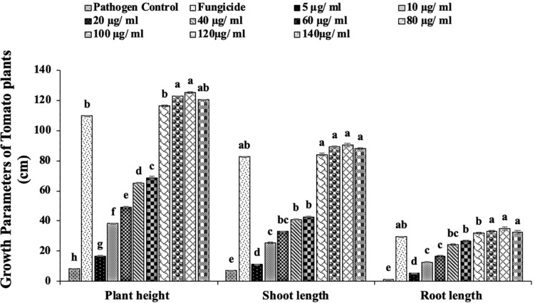 FIGURE 11