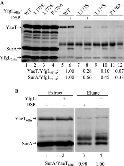 FIG. 5.