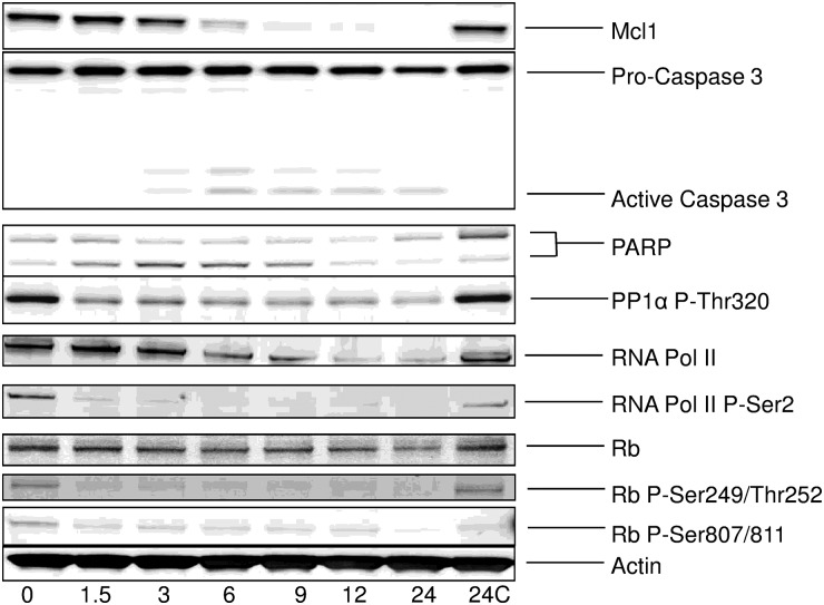 Fig. 4.