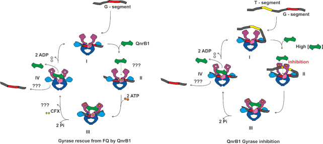 Figure 6.