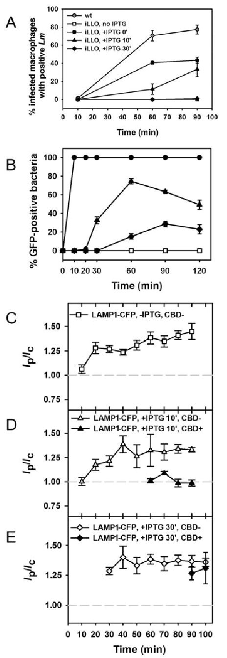 Fig. 9