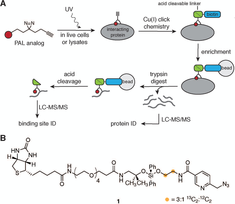 Figure 2: