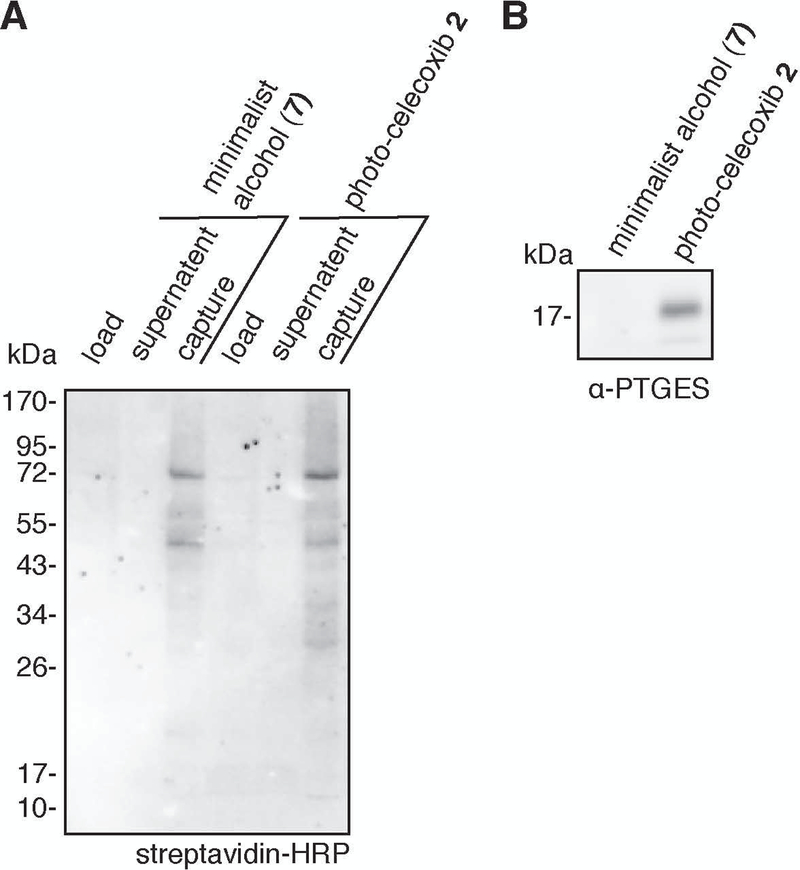 Figure 9: