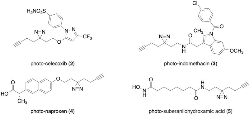 Figure 4: