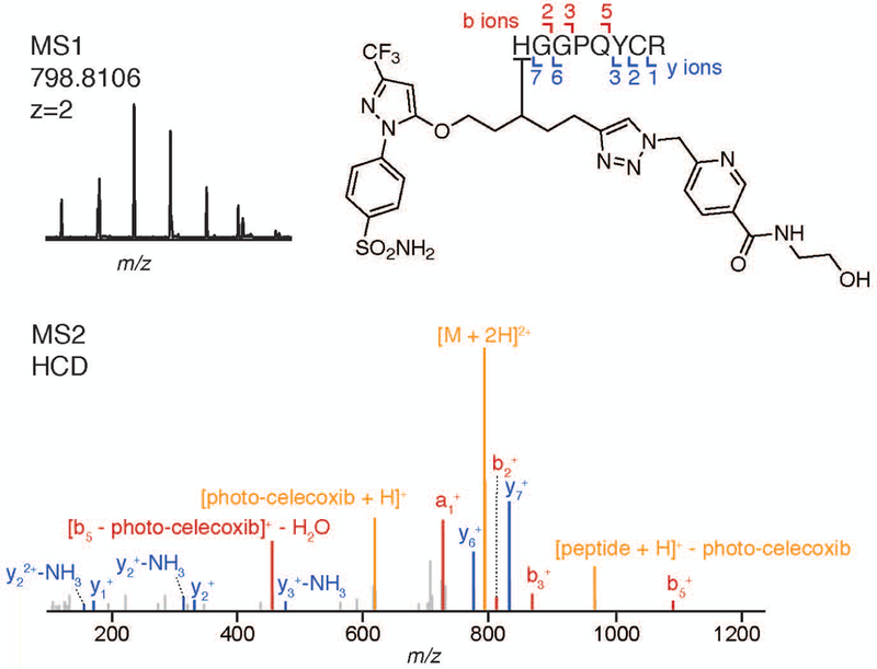 Figure 10: