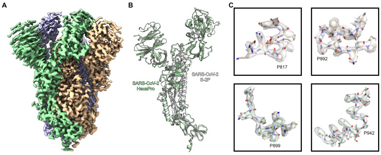 Fig. 4