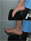 Fig. 3
