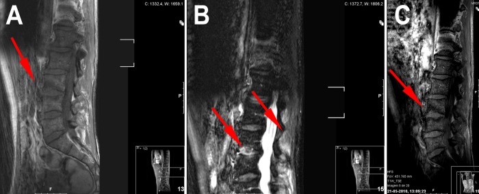 Figure 2