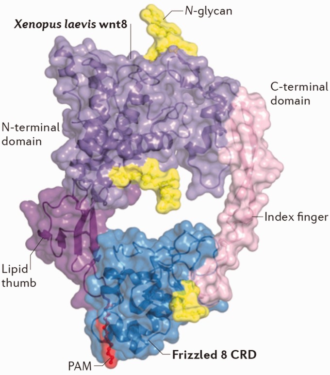 Figure 1.