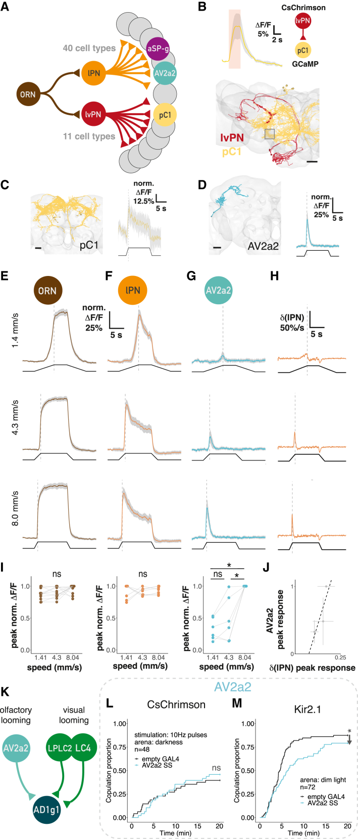 Figure 6